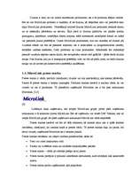 Referāts 'Produkta pozīciju nostiprināšana tirgū uzņēmumā "SAF Tehnika"', 9.