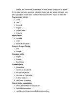 Referāts 'Produkta pozīciju nostiprināšana tirgū uzņēmumā "SAF Tehnika"', 11.