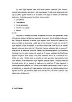 Referāts 'Produkta pozīciju nostiprināšana tirgū uzņēmumā "SAF Tehnika"', 14.