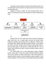 Referāts 'Produkta pozīciju nostiprināšana tirgū uzņēmumā "SAF Tehnika"', 15.