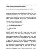 Referāts 'Produkta pozīciju nostiprināšana tirgū uzņēmumā "SAF Tehnika"', 19.