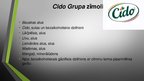Prezentācija 'Uzņēmums "Cido Grupa"', 3.