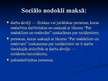 Referāts 'Valsts sociālās apdrošināšanas iemaksas', 10.