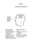 Referāts 'Stress', 11.