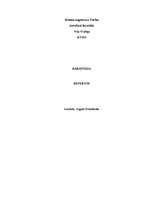 Referāts 'Bāriņtiesa', 1.