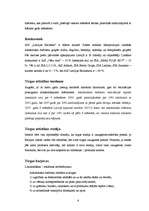 Konspekts 'Līdzsvarotas attīstības vadīšana', 6.