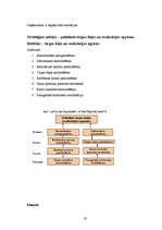 Konspekts 'Līdzsvarotas attīstības vadīšana', 19.