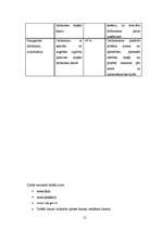 Konspekts 'Līdzsvarotas attīstības vadīšana', 21.