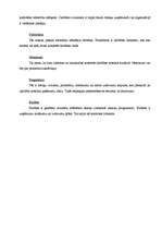 Konspekts 'Plānošana kā vadīšanas funkcija', 3.