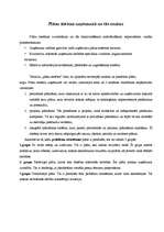 Konspekts 'Plānošana kā vadīšanas funkcija', 6.