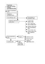 Konspekts 'Plānošana kā vadīšanas funkcija', 8.