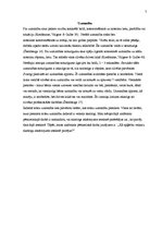 Referāts 'Kā apģērbu veikalu skatlogu iekārtojums ietekmē pircējus', 7.