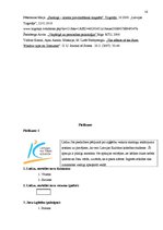 Referāts 'Kā apģērbu veikalu skatlogu iekārtojums ietekmē pircējus', 16.