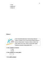 Referāts 'Kā apģērbu veikalu skatlogu iekārtojums ietekmē pircējus', 18.