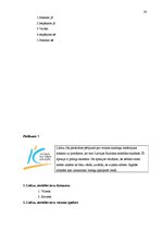 Referāts 'Kā apģērbu veikalu skatlogu iekārtojums ietekmē pircējus', 20.