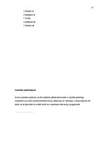 Referāts 'Kā apģērbu veikalu skatlogu iekārtojums ietekmē pircējus', 22.