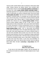 Referāts 'Z.A.Meierovics - izcilākā personība 20.gadsimtā Latvijā', 5.