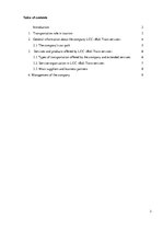 Prakses atskaite 'Transportation Company LCC "Balt Trans Service"', 3.