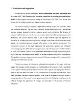 Prakses atskaite 'Transportation Company LCC "Balt Trans Service"', 24.