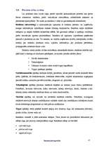 Referāts 'Produkta virzīšana tirgū, to ierobežsojošie faktori', 13.