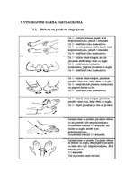 Referāts 'Darba drošība manā uzņēmumā', 16.