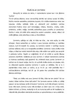 Eseja 'Kultūra un ķemenis', 1.