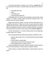 Diplomdarbs 'SIA "X" bilances sastādīšana un analīze', 9.