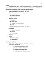 Diplomdarbs 'SIA "X" bilances sastādīšana un analīze', 16.