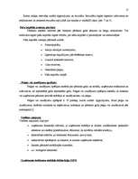 Diplomdarbs 'SIA "X" bilances sastādīšana un analīze', 17.