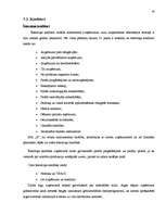 Diplomdarbs 'SIA "X" bilances sastādīšana un analīze', 21.