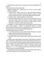 Diplomdarbs 'SIA "X" bilances sastādīšana un analīze', 28.