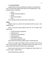 Diplomdarbs 'SIA "X" bilances sastādīšana un analīze', 34.