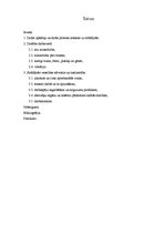 Referāts 'Darba higiēna', 2.