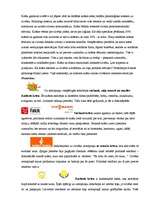 Referāts 'Krāsu nozīme reklāmā', 3.