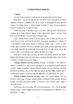 Referāts 'Bioloģiski aktīvo savienojumu daudzuma noteikšana ķirbjos', 7.