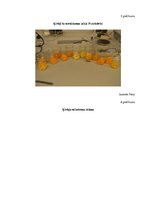 Referāts 'Bioloģiski aktīvo savienojumu daudzuma noteikšana ķirbjos', 27.