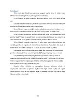 Referāts 'Valsts kā uzņēmējs ārpolitikā', 13.