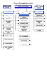 Prakses atskaite 'Prakses atskaite valsts un pašvaldību iestādē', 5.