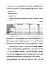 Referāts 'Motivācijas jēdziens', 17.