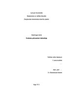 Paraugs 'Produkta pašizmaksas kalkulācija', 1.