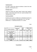 Paraugs 'Produkta pašizmaksas kalkulācija', 2.