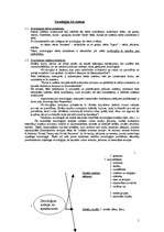 Konspekts 'Socioloģija', 1.