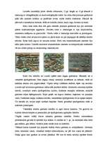 Referāts 'Baltu rotas. Gredzenu attīstība', 1.