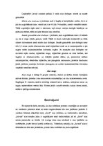 Referāts 'Alus ražošana', 19.