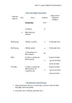 Konspekts 'Galvenās daļas konspekts akrobātikas nodarbībā', 1.