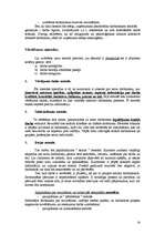 Referāts 'Personāla atlase', 14.