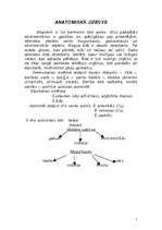 Referāts 'Krupji', 5.