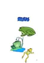 Referāts 'Krupji', 14.