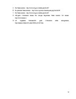 Referāts 'Valsts kontroles raksturojums', 12.