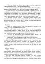 Eseja 'Noras Ikstenas romāna “Dzīves svinēšana” analīze', 7.